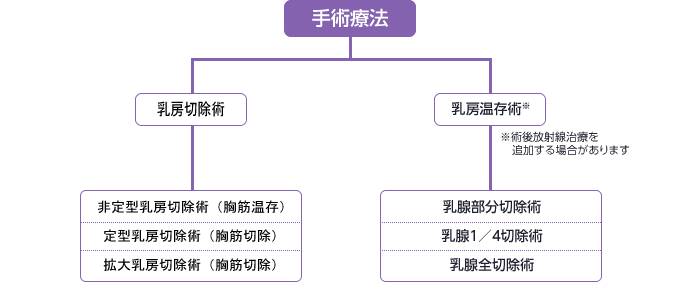 図：手術療法