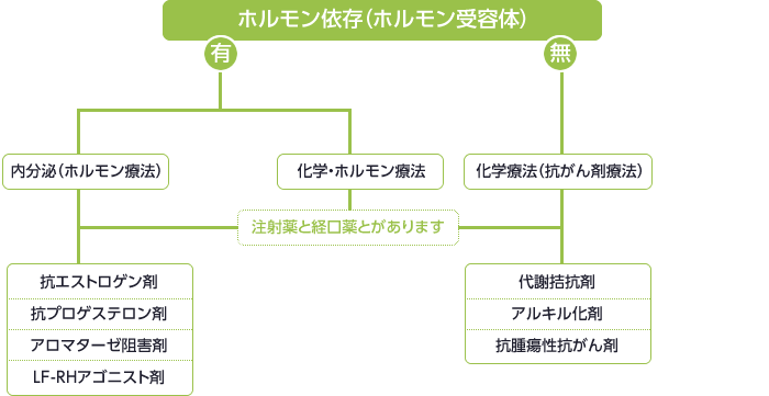 図：ホルモン依存（ホルモン受容体）