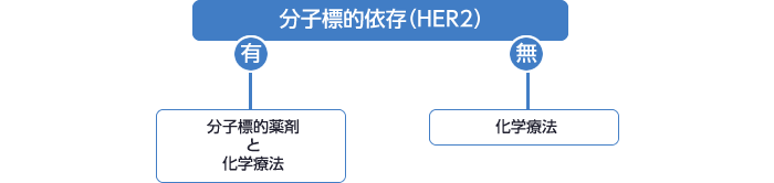 図：分子標的依存（HER2）