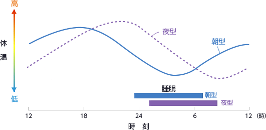 図：体温リズムと睡眠時間帯