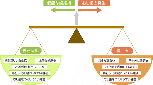 図：歯の再石灰化