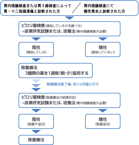 図：当センターでのピロリ菌除菌療法外来の流れ